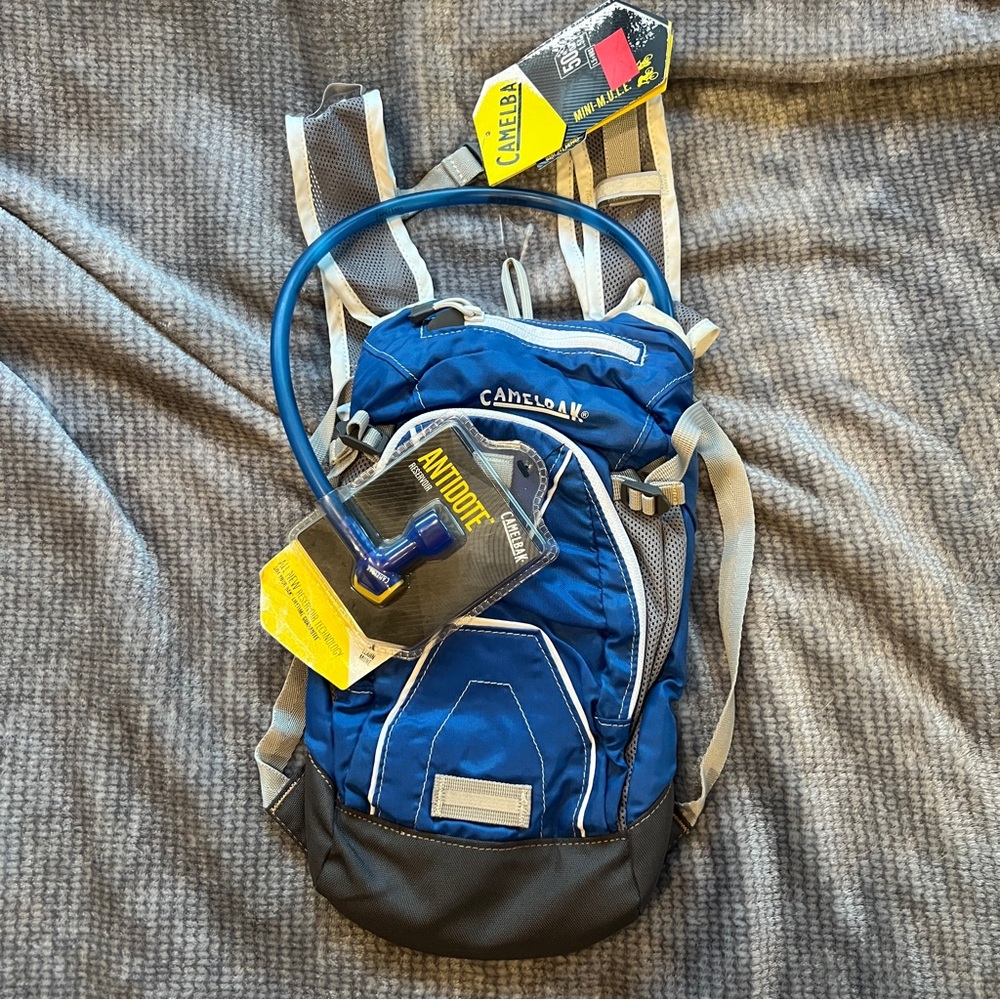 CamelBak Blue and Gray Hydration Backpack